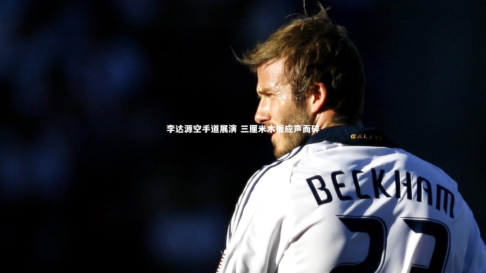 乐竟体育app：李达源空手道展演 三厘米木板应声而碎